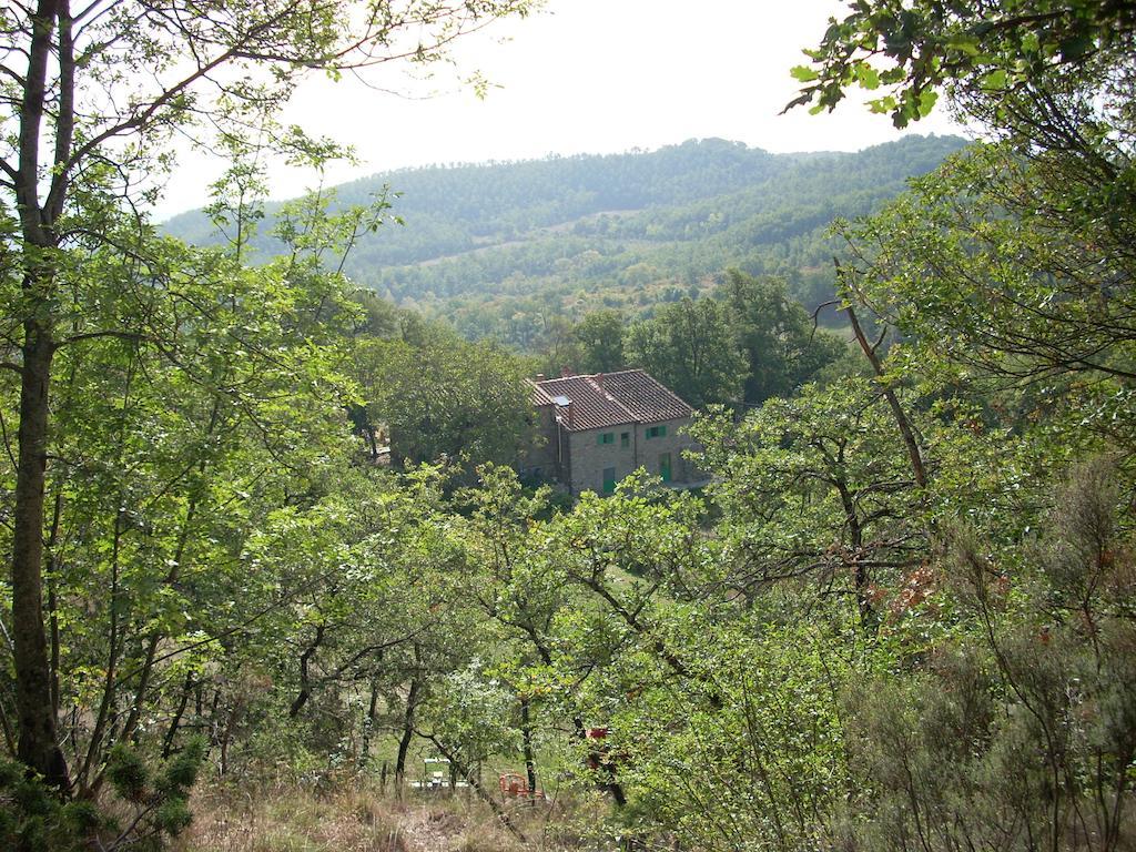 All'Antico Silbule Capolona Exterior foto
